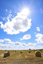 Backlight shot of straw bales on a harvested grain field in Bavaria, Germany, Europe