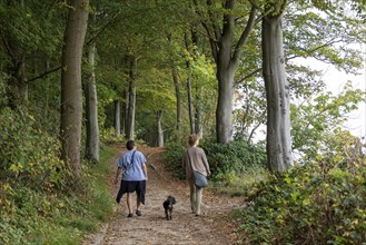 Two woman with dog, forest path, Falckensteiner Ufer, Kiel, Schleswig-Holstein, Germany, Europe