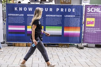 Banner with definition of terms: Genderfluid, Nonbinary, Aromantic or just Lesbian? A colour code