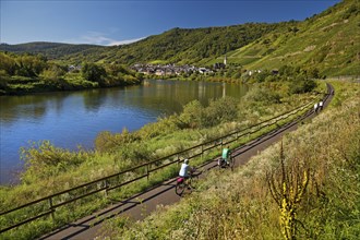 Cyclists on the Moselle cycle path with a view of the village of Bremm, Rhineland-Palatinate,