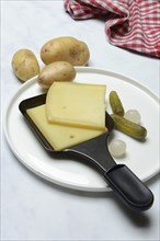 Raclette, cheese slices in raclette pans, Switzerland, Europe