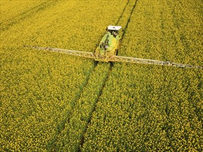 Crop protection products are applied to a rapeseed field on the outskirts of Dresden