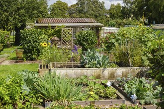 Vegetable beds in front of garden arbour in allotment garden, allotment garden, Dortmund, North