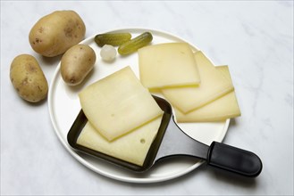 Raclette, cheese slices in raclette pans, Switzerland, Europe