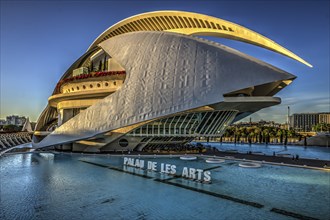 Palau de les Arts, Cuitat de les Arts i les Ciences, evening light, modern architecture, Valencia,