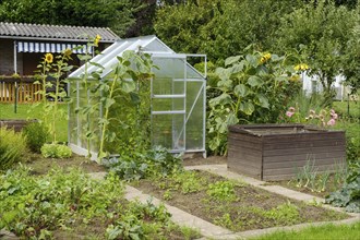 Greenhouse in allotment garden, allotment garden, North Rhine-Westphalia, Germany, Europe