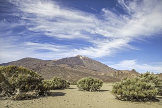 Mount Teide, El Teide, Pico del Teide, volcano in the Teide National Park on Tenerife in the Canary