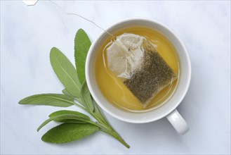 Sage tea with tea bag in cup, sage leaves