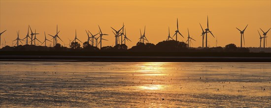 Mudflat landscape and many wind turbines in the marshland, North Sea, Norddeich, Norden, East