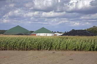 Farm-based maize silage anaerobic digester plant for producing biofuel, Germany, Europe