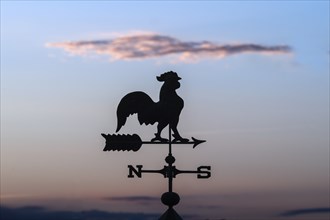 Weathercock above a compass rose on a roof at sunset, Kaiserstuhl region, Baden-Württemberg,