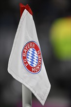 Corner flag with logo FC Bayern Munich FCB, Allianz Arena, Munich, Bavaria, Germany, Europe