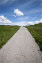 Small narrow lane on chalk downland scarp slope, Allington Down, Wiltshire, England, United