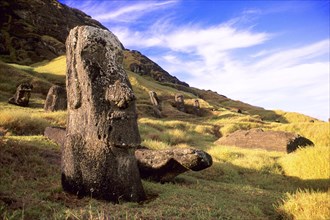 South America, Chile, Pacific, Moais on Easter Island, Ranu Raraku, Rano Raraku, Easter Island,