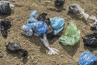 Close-up of discarded colourful plastic dog poop bags in sandy public dog toilet area in city park