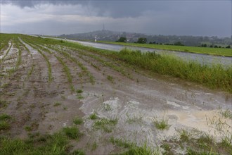 Heavy rain showers and thunderstorms pass over Possendorf in the Eastern Ore Mountains. Flooded