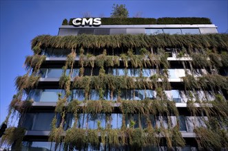 Climate-neutral façade greening on the new building, office building of CMS Hasche Sigle, Calwer