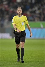 Referee Referee Sascha Stegemann PreZero Arena, Sinsheim, Baden-Württemberg, Germany, Europe