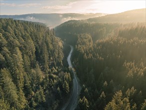 A winding road meanders through a mountain forest at sunset, Black Forest, Germany, Europe