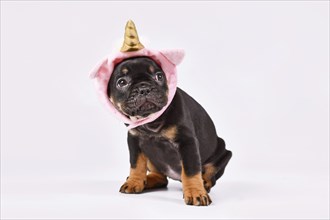 Tan French Bulldog dog puppy with cute pink unicorn hat with golden horn