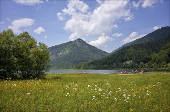 Bathers in the Weitsee nature reserve in the Chiemgau Alps, Bavaria, Germany, Europe