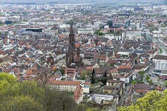 View from the Schlossberg to the Münsterplatz, the Freiburg Cathedral of Our Lady, Old Town, New