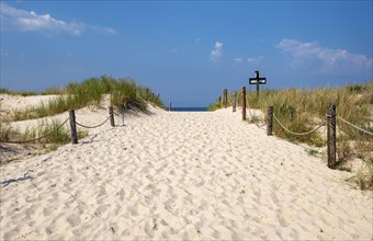 Sandy trail, Slovincian National Park, Slowinski Park Narodowy, Poland, Europe