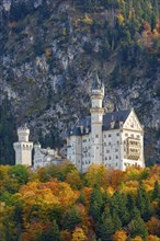 Neuschwanstein Castle in autumn, Schwangau, OstallgÃ¤u, AllgÃ¤u, Swabia, Upper Bavaria, Bavaria,