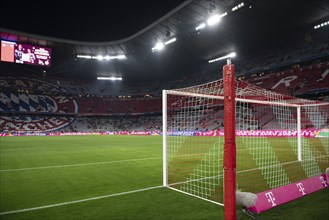 Stadium interior, goal, goal net, empty, Allianz Arena, Munich, Bavaria, Germany, Europe