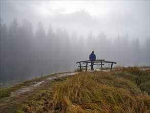 Man looking at Lago d'Antorno, trees in the fog, Three Peaks nature park Park, Dolomites, South