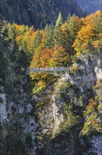 Tourists on the Marienbrücke, Schwangau near Füssen, AllgÃ¤u, Bavaria, Germany, Füssen, Bavaria,