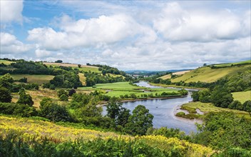 Sharpham Meadows and Marsh over River Dart from a drone, Totnes, Devon, England, United Kingdom,