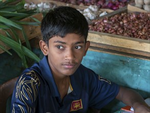 Sinhalese boy, Asian eyes, portrait, Sri Lanka, Asia