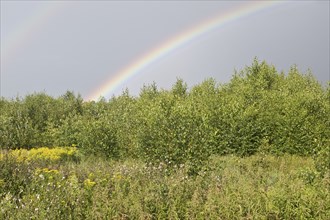 Rainbow over the high moor, Emsland, Lower Saxony, Germany, Europe