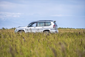 Toyota Landcruiser off-road vehicle in a meadow, Yssykköl, Kyrgyzstan, Asia