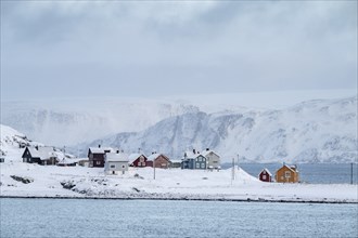 Colourful houses in a snowy landscape, fishing village Kongsfjord, Berlevag, Varanger Peninsula,