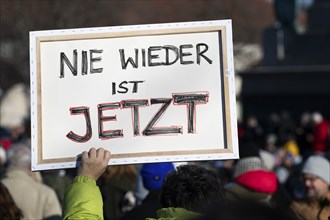 Pictures taken during the demonstration Haltung zeigen! against Nazi deportation plans of the AfD