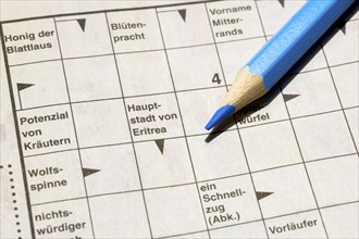 Crossword puzzle, coloured pencil, magazine, newspaper, Germany, Europe