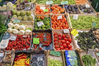 Market stall with a wide range of local and exotic vegetables in the Markthalle Stuttgart,