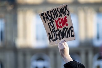 Pictures taken during the demonstration Haltung zeigen! against Nazi deportation plans of the AfD