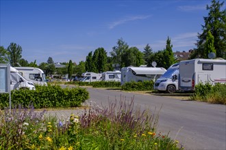 Camper site, Mettnau, Radolfzell, Baden-Württemberg, Germany, Europe