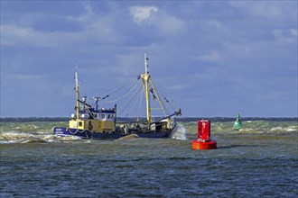 Shrimp cutter 0. 191 Romy leaving the Ostend port to go bottom trawling for shrimps along the North