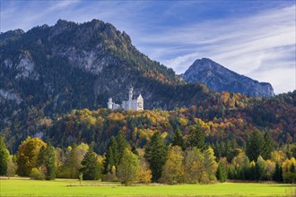 Neuschwanstein Castle in autumn, Schwangau, OstallgÃ¤u, AllgÃ¤u, Swabia, Upper Bavaria, Bavaria,