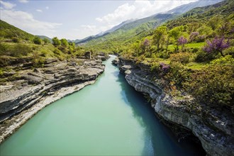 Valley of the Vjosa, the Vjosë is one of the few larger natural rivers in Europe, National Park