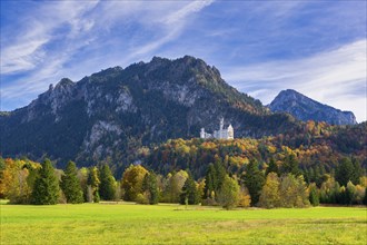 Neuschwanstein Castle in autumn, Schwangau, OstallgÃ¤u, AllgÃ¤u, Swabia, Upper Bavaria, Bavaria,