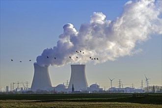 Geese flying in front of cooling towers of the Doel Nuclear Power Station, nuclear power plant in