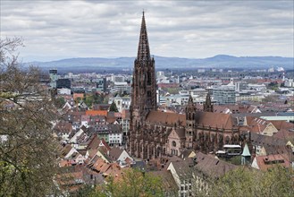 View from the Schlossberg to the Münsterplatz, the Freiburg Cathedral of Our Lady, Old Town, New