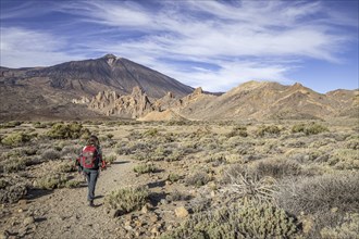 Female hiker walking towards Mount Teide, El Teide, Pico del Teide, volcano in the Teide National