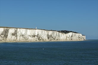 Chalk cliffs, cliffs, Dover, Kent, England, Great Britain