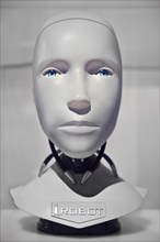 Head of the humanoid robot NS-5-Robot from the film I, Robot